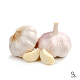 Garlic x 3