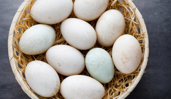 Duck Eggs Each