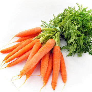 Local Carrots Bunch