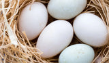 Duck Eggs Each