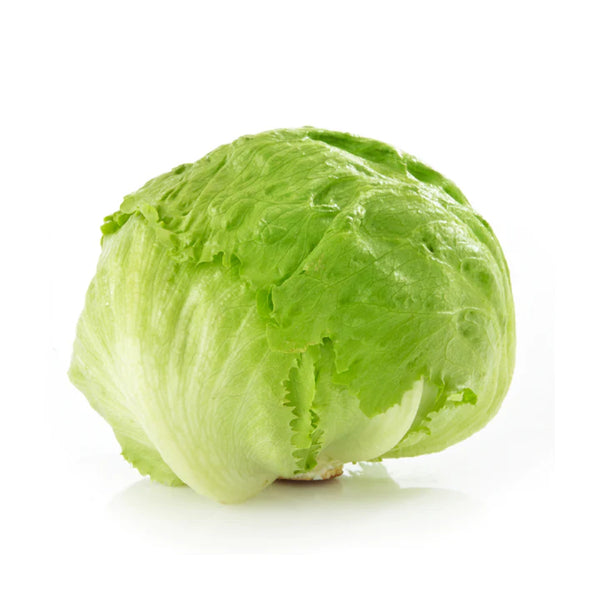 Iceberg Lettuce